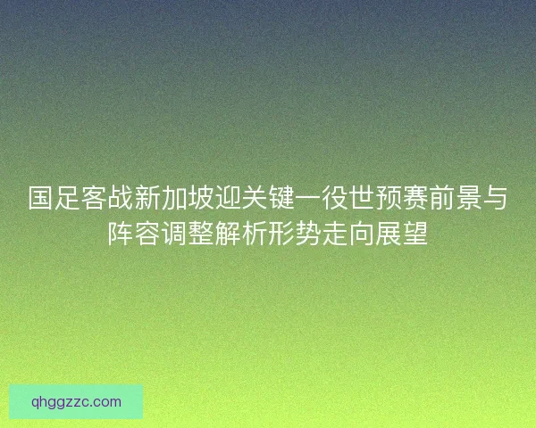 国足客战新加坡迎关键一役世预赛前景与阵容调整解析形势走向展望
